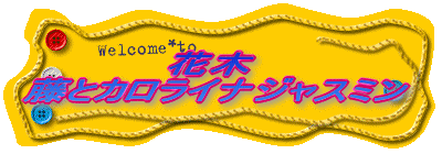 花木 藤とカロライナジャスミン