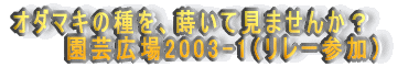 オダマキの種を、蒔いて見ませんか?    園芸広場2003(リレー参加)