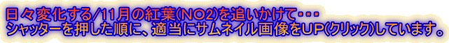日々変化する/11月の紅葉(NO2)を追いかけて・・・ シャッターを押した順に、適当にサムネイル画像をUP(クリック)しています。